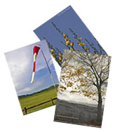 cartoline dalla toscana